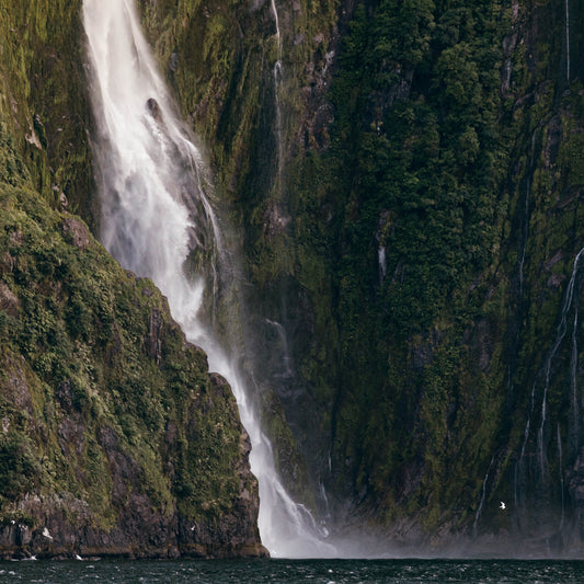 Piopiotahi (Frameless Print)