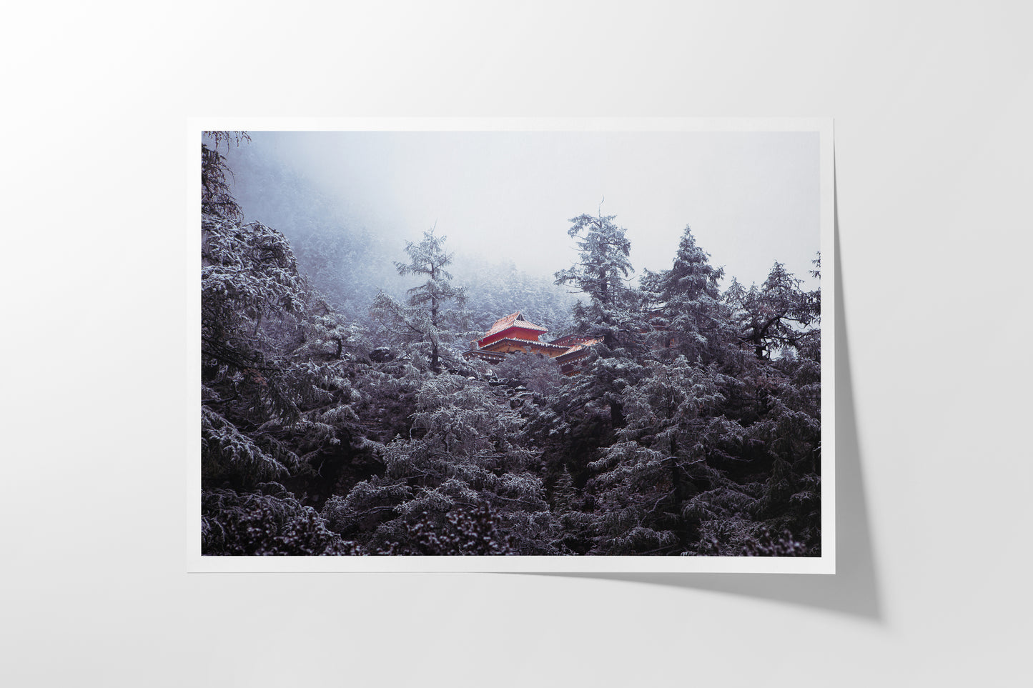 Chonggu (Classic Print)