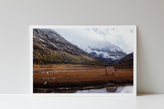 Journey's End (8x12 inch Frameless Print)