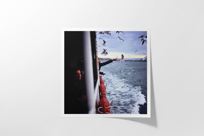 Bosphorus (Classic Print)